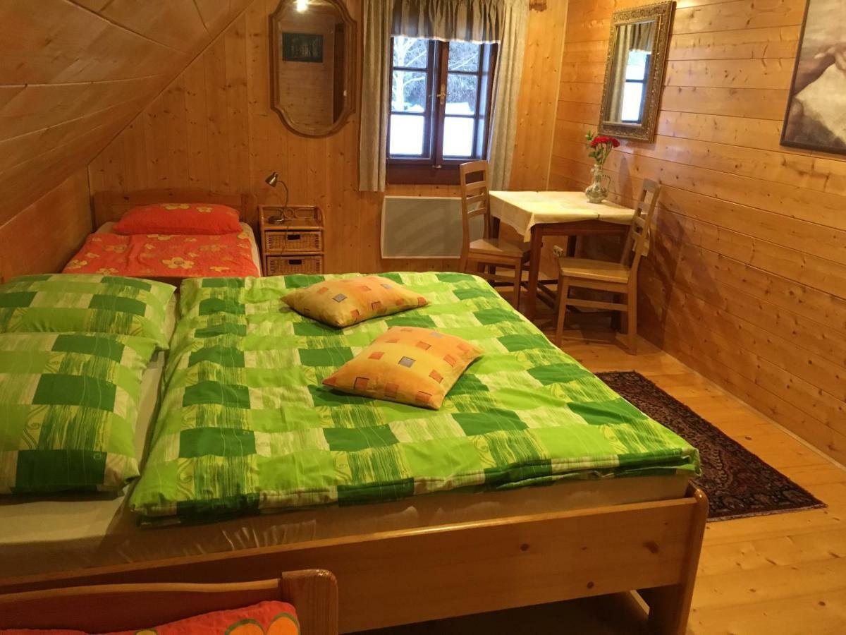 Hotel Roubenka Elisabeth Jablonné nad Orlicí Zewnętrze zdjęcie